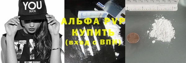 ПСИЛОЦИБИНОВЫЕ ГРИБЫ Бородино