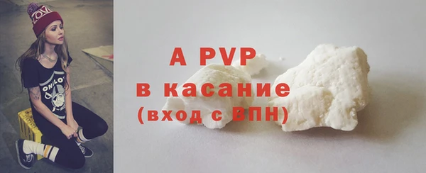 ПСИЛОЦИБИНОВЫЕ ГРИБЫ Бородино