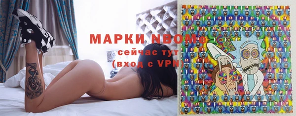 ПСИЛОЦИБИНОВЫЕ ГРИБЫ Бородино