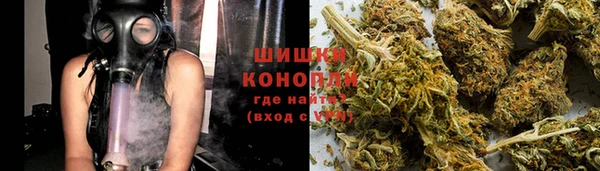 ПСИЛОЦИБИНОВЫЕ ГРИБЫ Бородино
