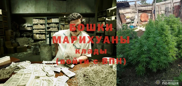 ПСИЛОЦИБИНОВЫЕ ГРИБЫ Бородино