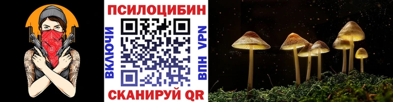 Купить где  Мыски  Галлюциногенные грибы ЛСД 